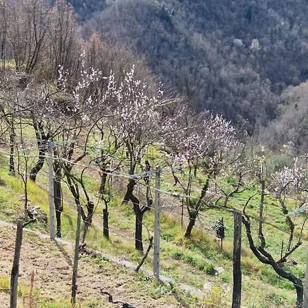 Casa Nonna Chiarina Appartamento